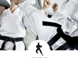 judo2-1-300×300
